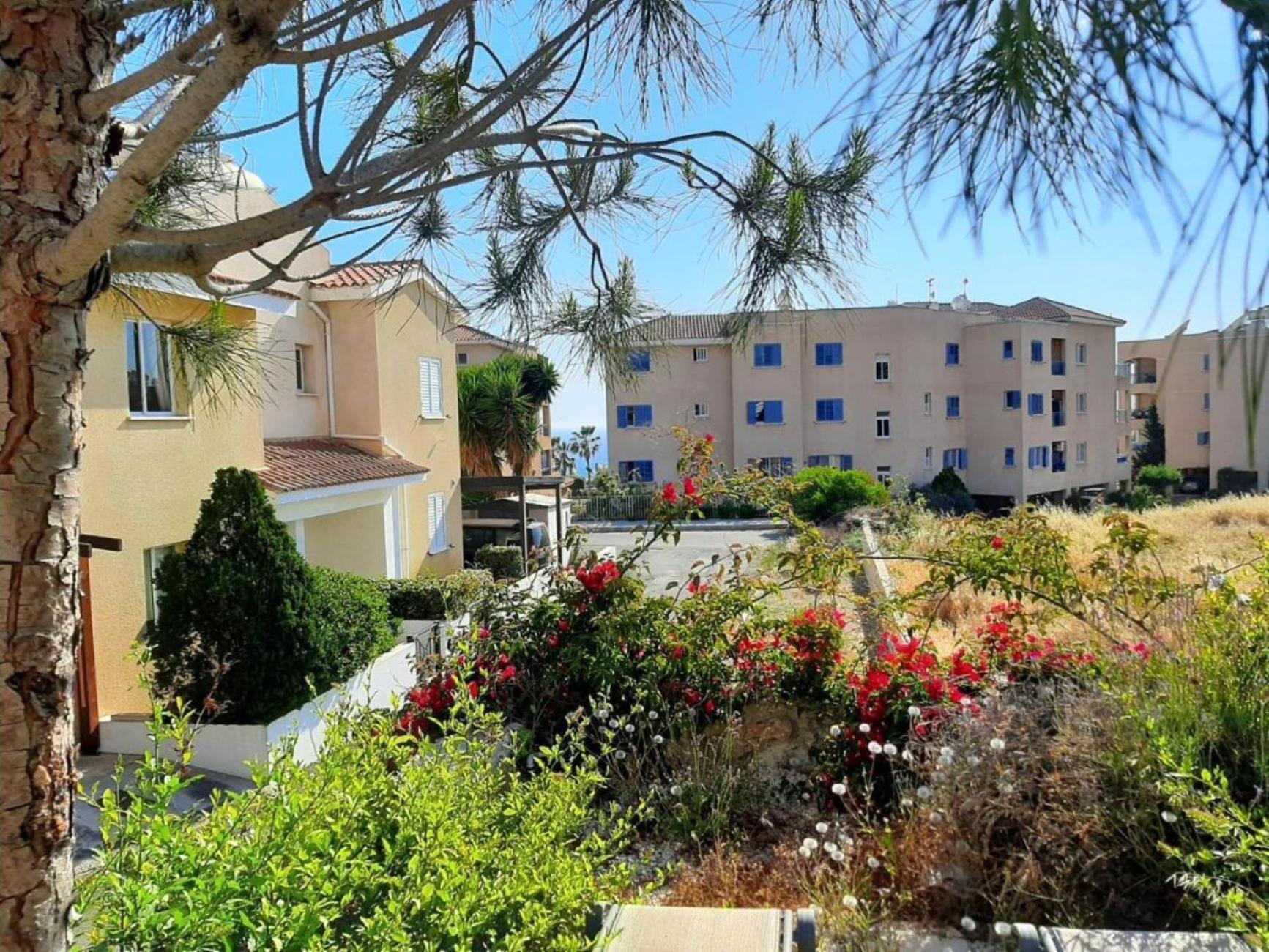 Paphos H&O Danaos Sea Breeze Apartment מראה חיצוני תמונה